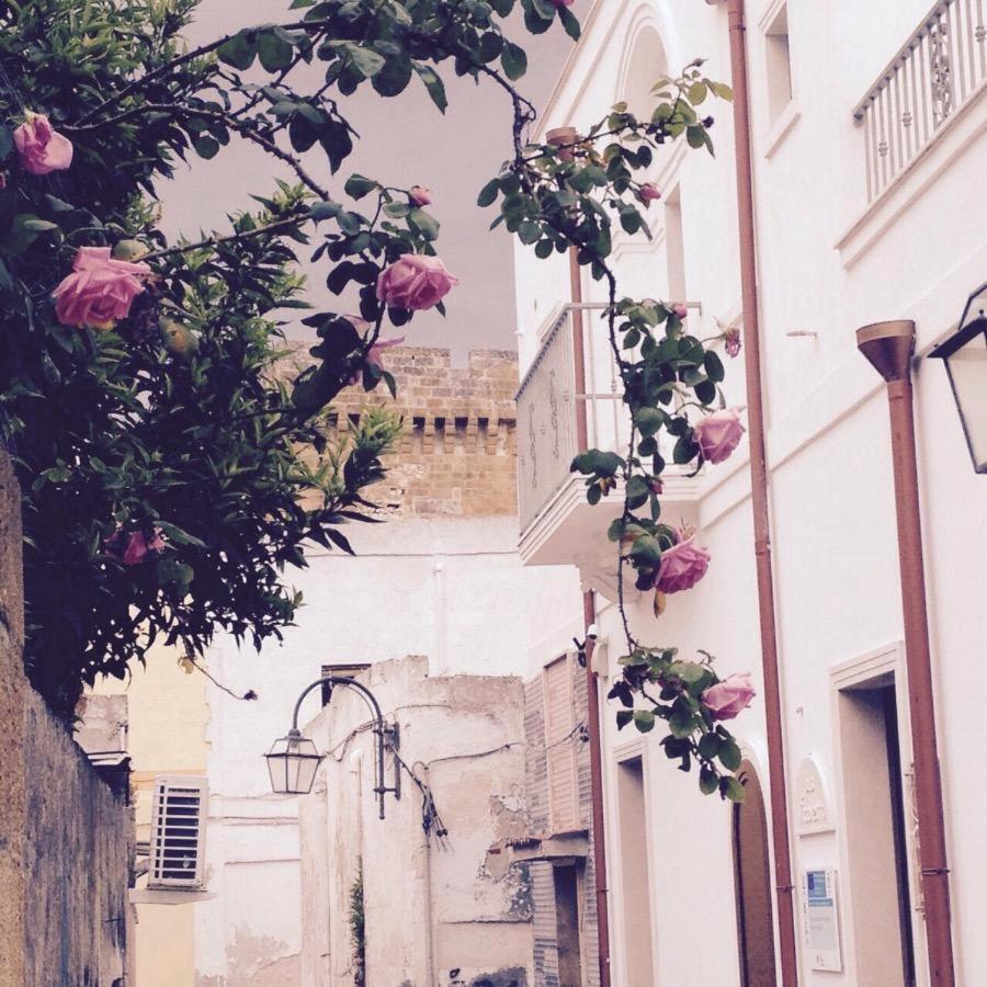 Il Vicoletto Bed and Breakfast Pulsano Εξωτερικό φωτογραφία